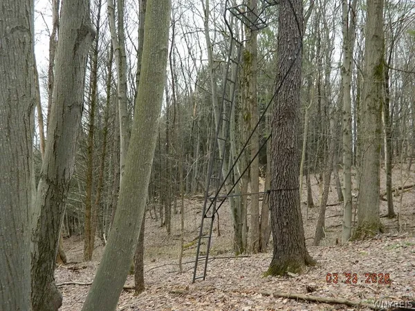 $124,900 | Olean Road, Holland, NY 14080