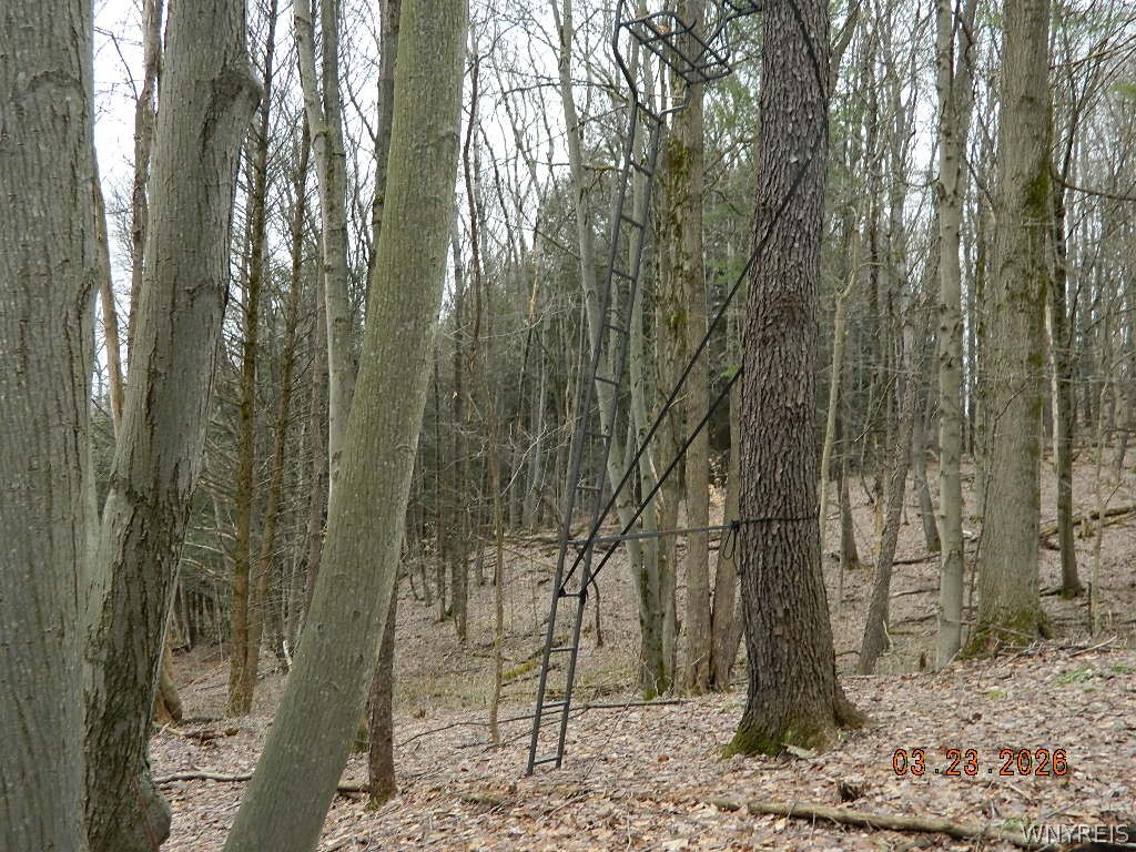 Olean Road Holland, NY 14080 - Photo 11 of 16