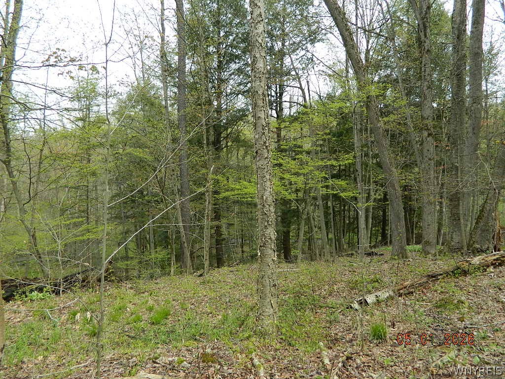 9999 Olean Road Holland, NY 14080 - Photo 12 of 28