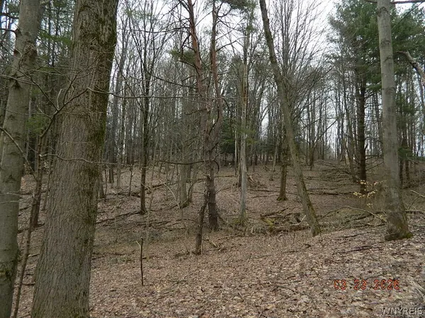 $124,900 | Olean Road, Holland, NY 14080