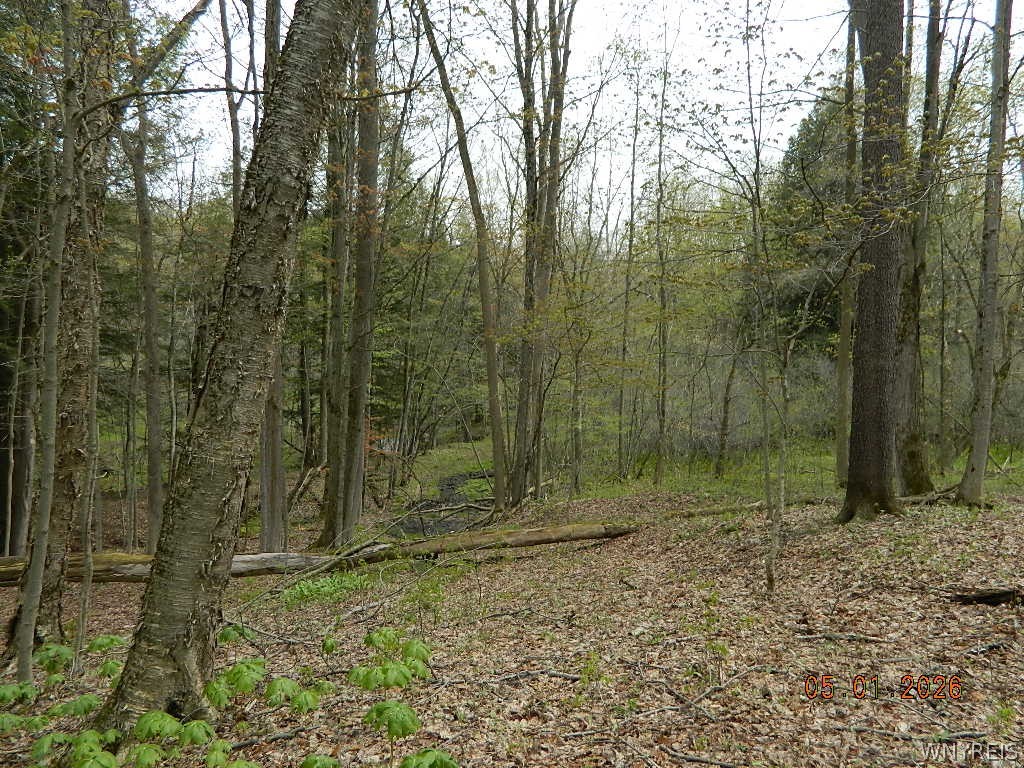 9999 Olean Road Holland, NY 14080 - Photo 13 of 28
