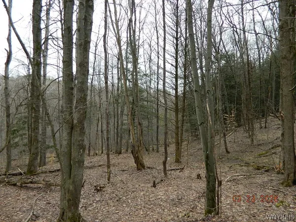 $124,900 | Olean Road, Holland, NY 14080