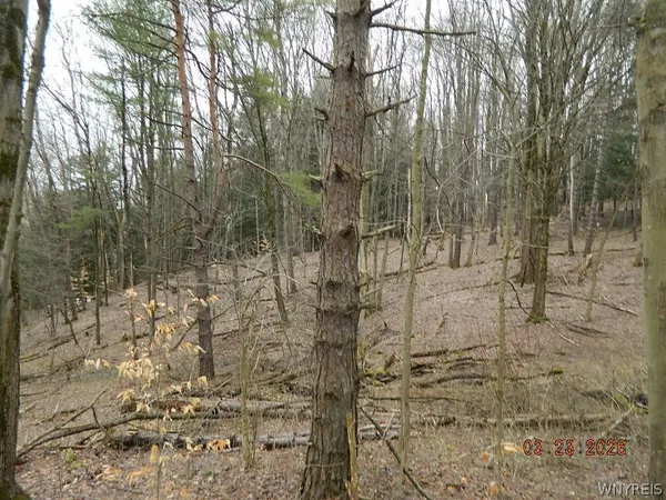 $124,900 | Olean Road, Holland, NY 14080