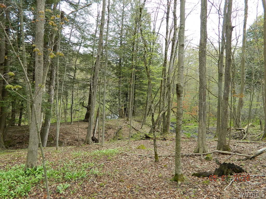 9999 Olean Road Holland, NY 14080 - Photo 15 of 28