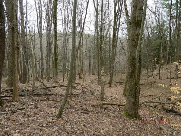 $124,900 | Olean Road, Holland, NY 14080