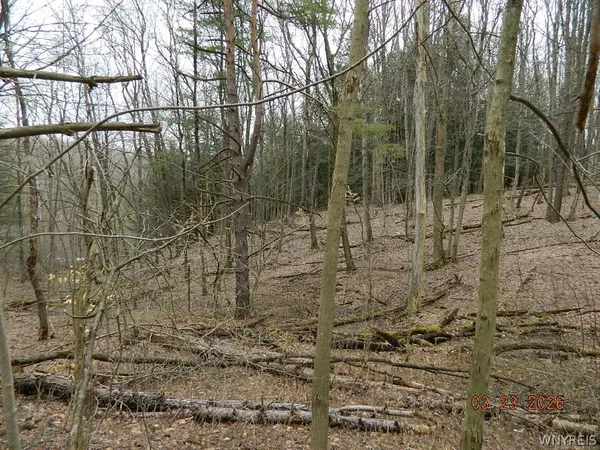 $124,900 | Olean Road, Holland, NY 14080