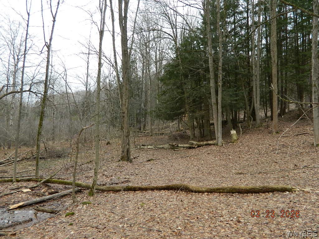 9999 Olean Road Holland, NY 14080 - Photo 19 of 28