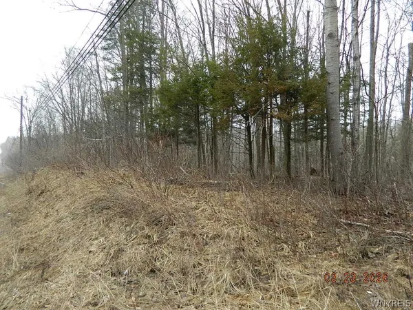 $124,900 | Olean Road, Holland, NY 14080