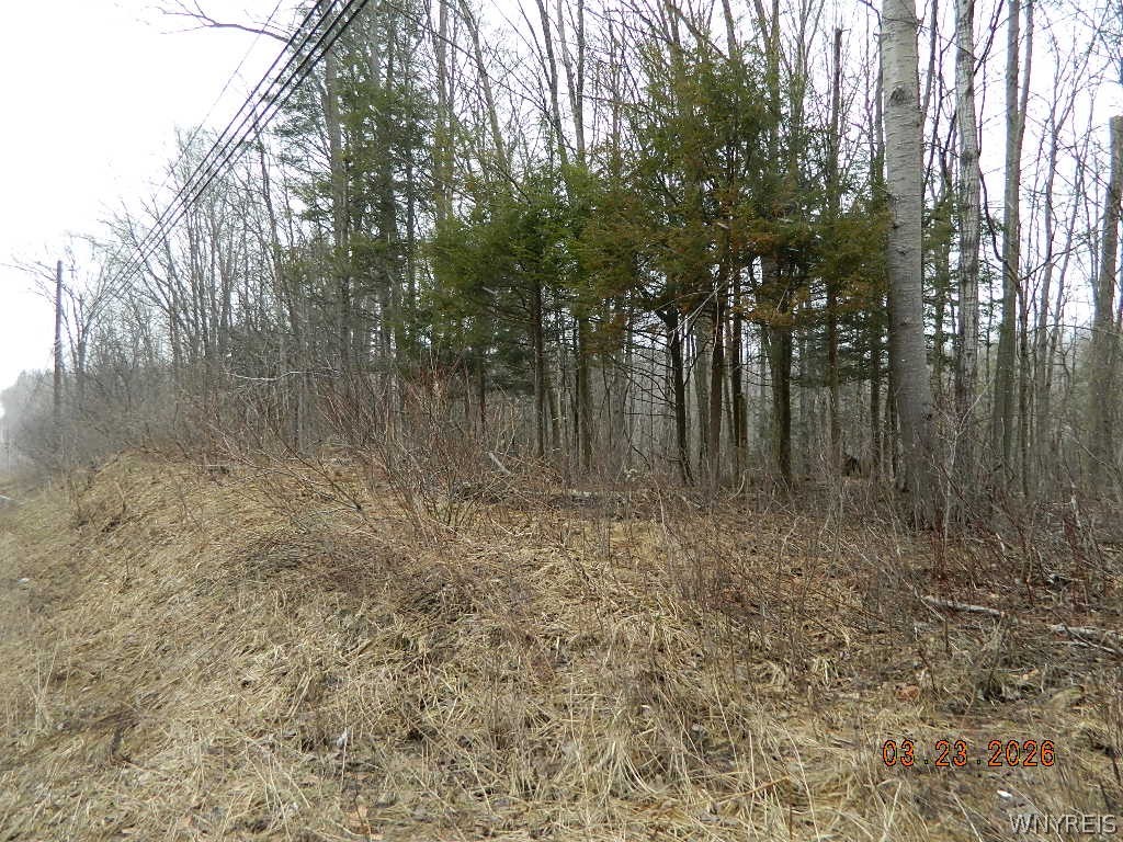 Olean Road Holland, NY 14080 - Photo 2 of 16