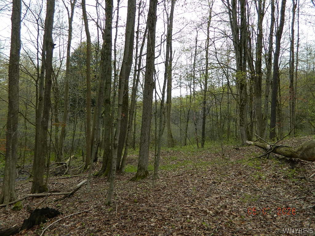 9999 Olean Road Holland, NY 14080 - Photo 2 of 28