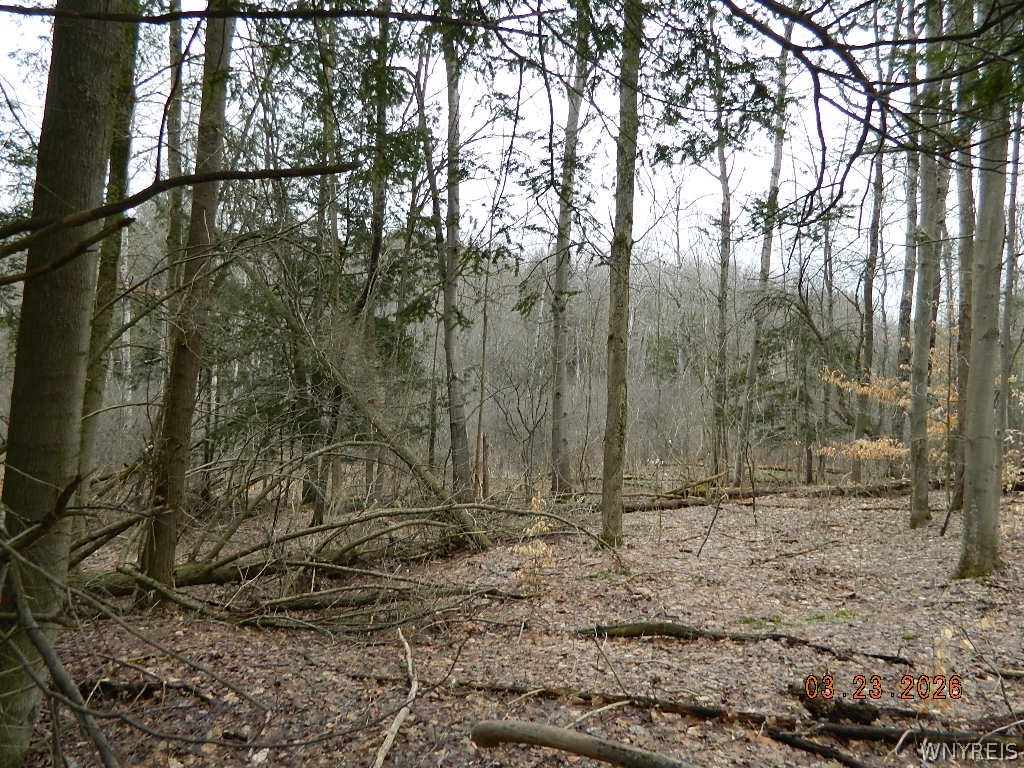 9999 Olean Road Holland, NY 14080 - Photo 22 of 28