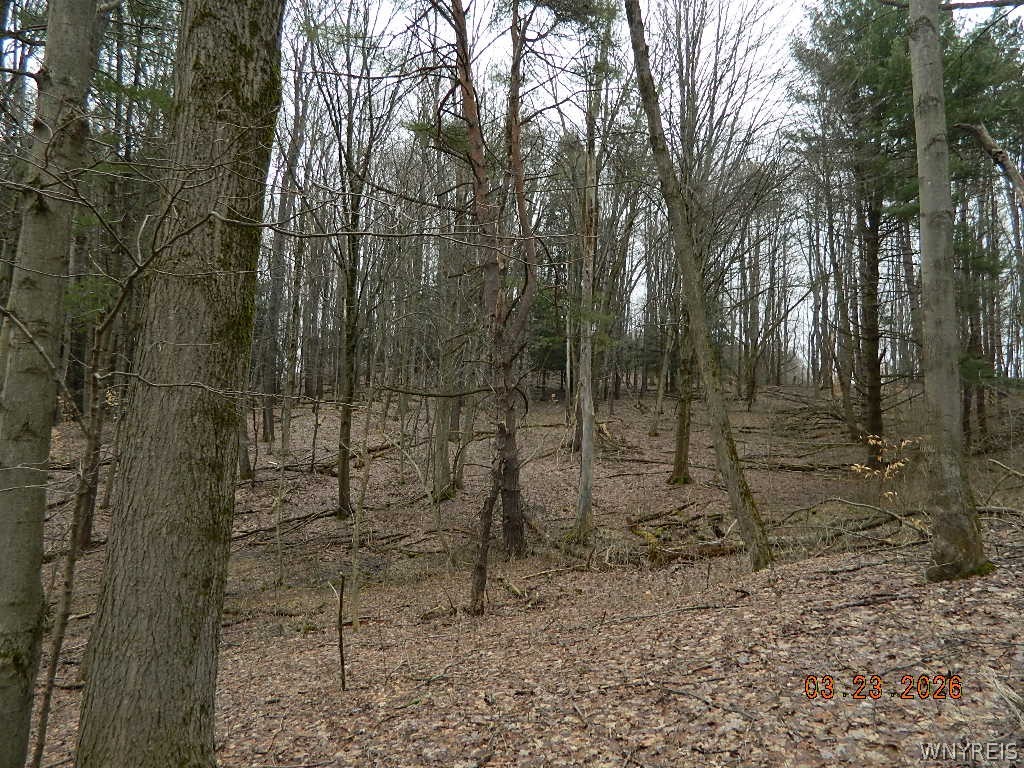 9999 Olean Road Holland, NY 14080 - Photo 24 of 28