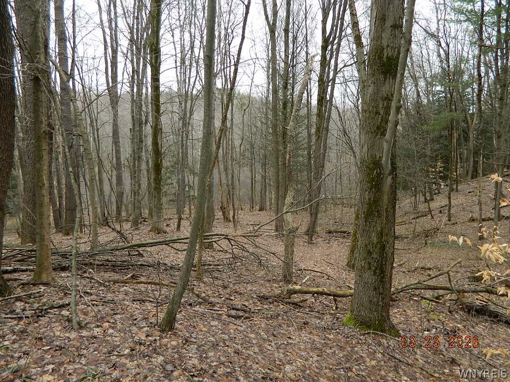 9999 Olean Road Holland, NY 14080 - Photo 27 of 28