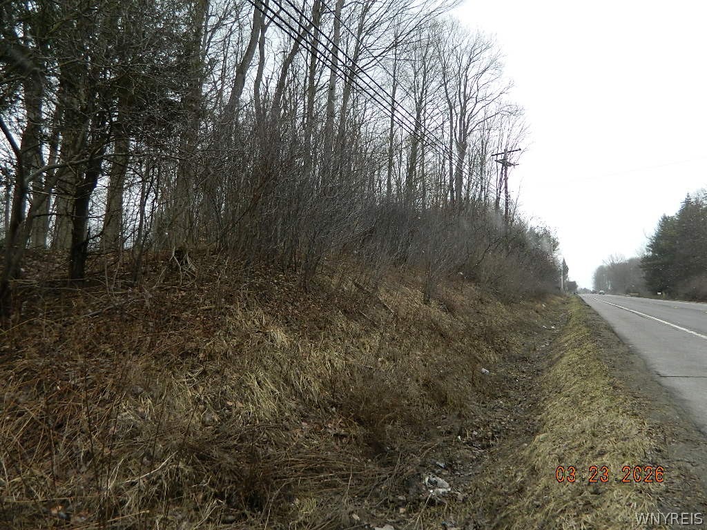 Olean Road Holland, NY 14080 - Photo 3 of 16