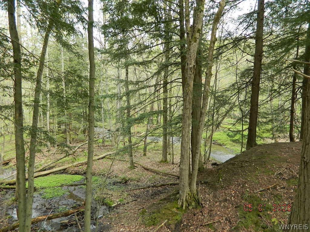 9999 Olean Road Holland, NY 14080 - Photo 3 of 28