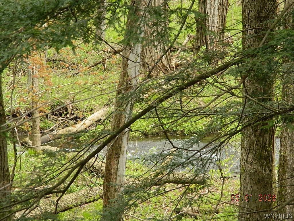 9999 Olean Road Holland, NY 14080 - Photo 4 of 28