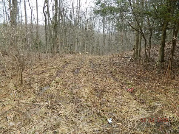 $124,900 | Olean Road, Holland, NY 14080