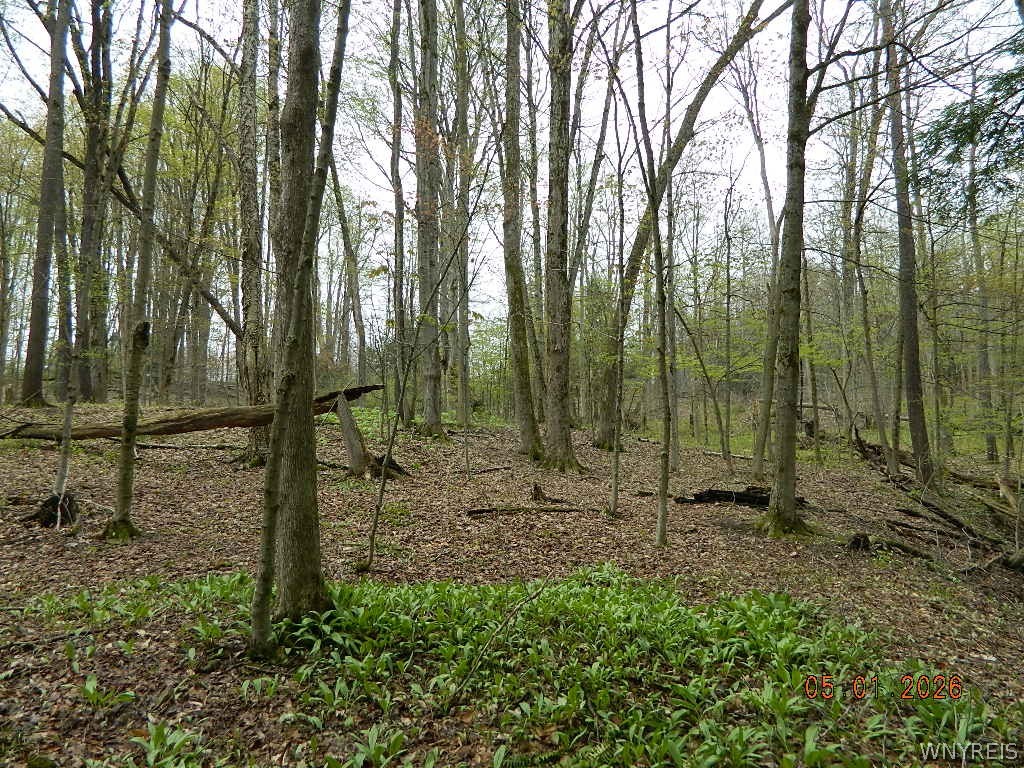 9999 Olean Road Holland, NY 14080 - Photo 5 of 28