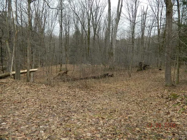 $124,900 | Olean Road, Holland, NY 14080