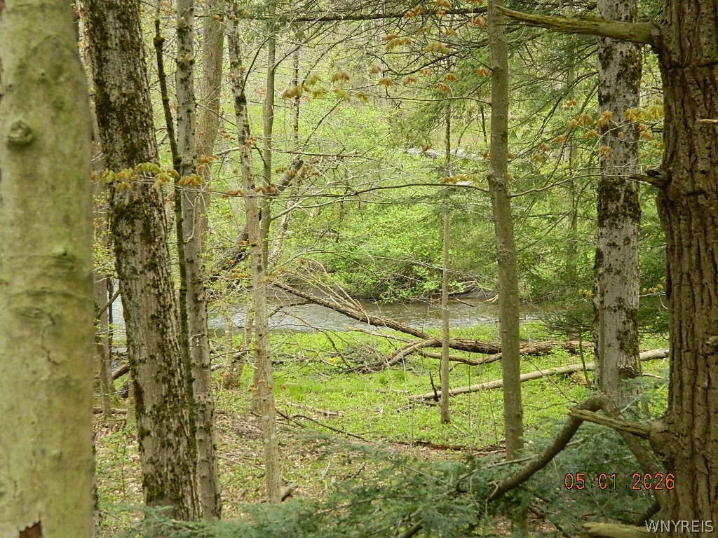 9999 Olean Road Holland, NY 14080 - Photo 6 of 28