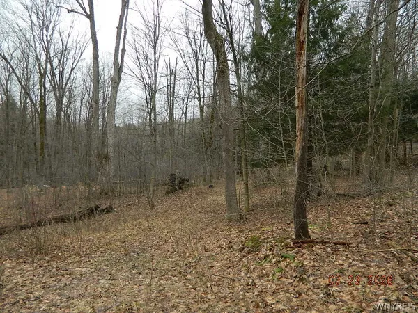 $124,900 | Olean Road, Holland, NY 14080