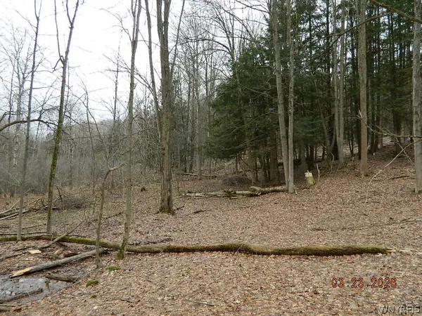 $124,900 | Olean Road, Holland, NY 14080