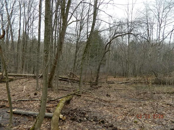 $124,900 | Olean Road, Holland, NY 14080