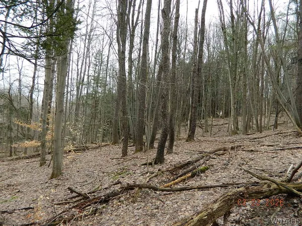 $124,900 | Olean Road, Holland, NY 14080