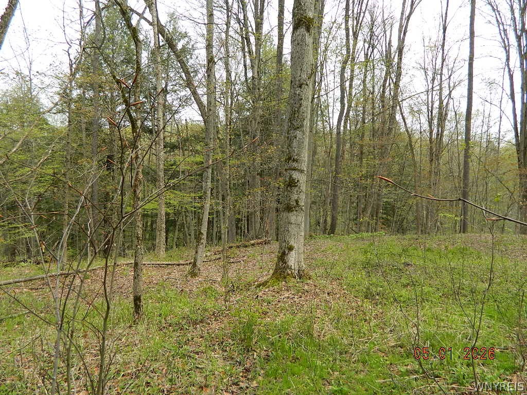 9999 Olean Road Holland, NY 14080 - Photo 10 of 28