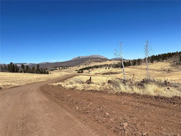 $12,900 | 0 Forbes Park Road, Fort Garland, CO 81133