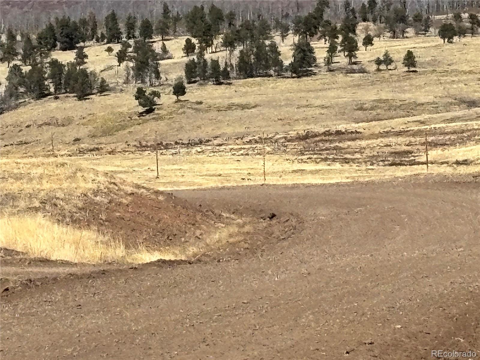 0 Forbes Park Road Fort Garland, CO 81133 - Photo 2 of 9