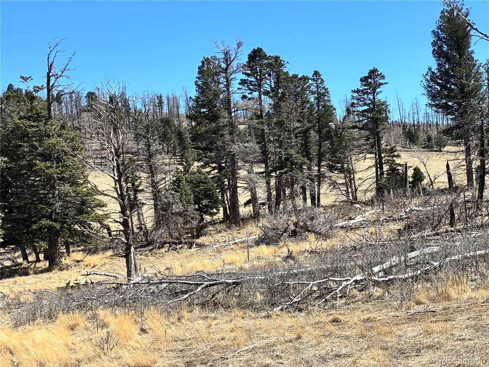 0 Forbes Park Road Fort Garland, CO 81133 - Photo 3 of 9