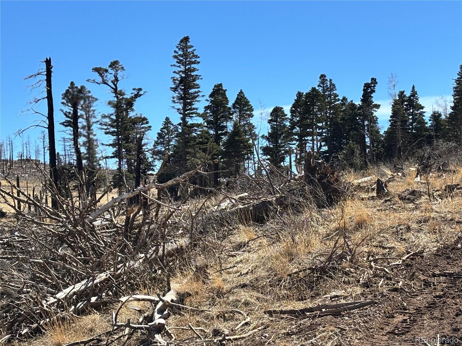 0 Forbes Park Road Fort Garland, CO 81133 - Photo 4 of 9