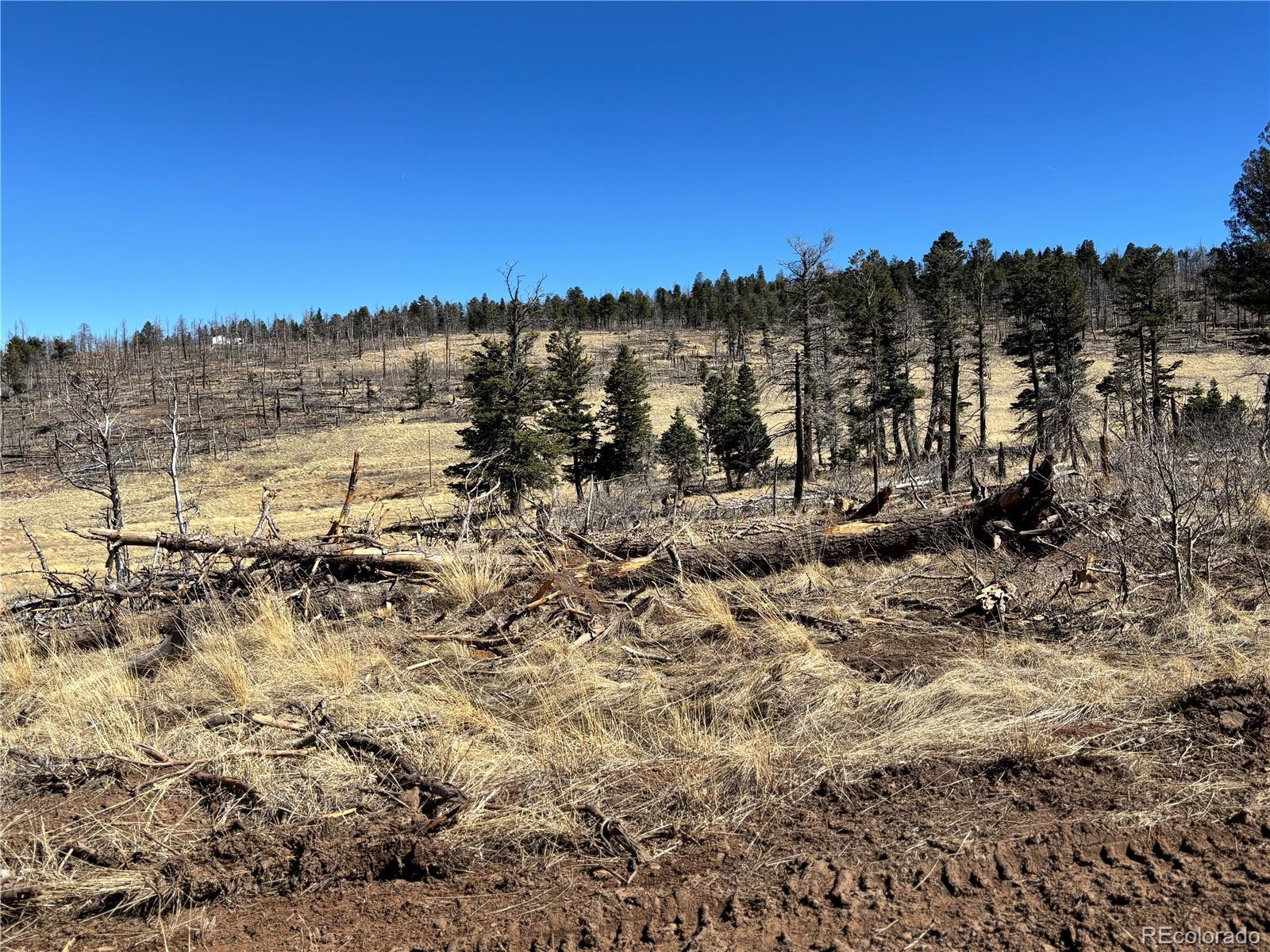 0 Forbes Park Road Fort Garland, CO 81133 - Photo 5 of 9