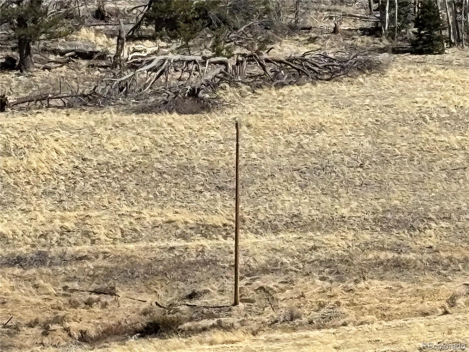 0 Forbes Park Road Fort Garland, CO 81133 - Photo 6 of 9