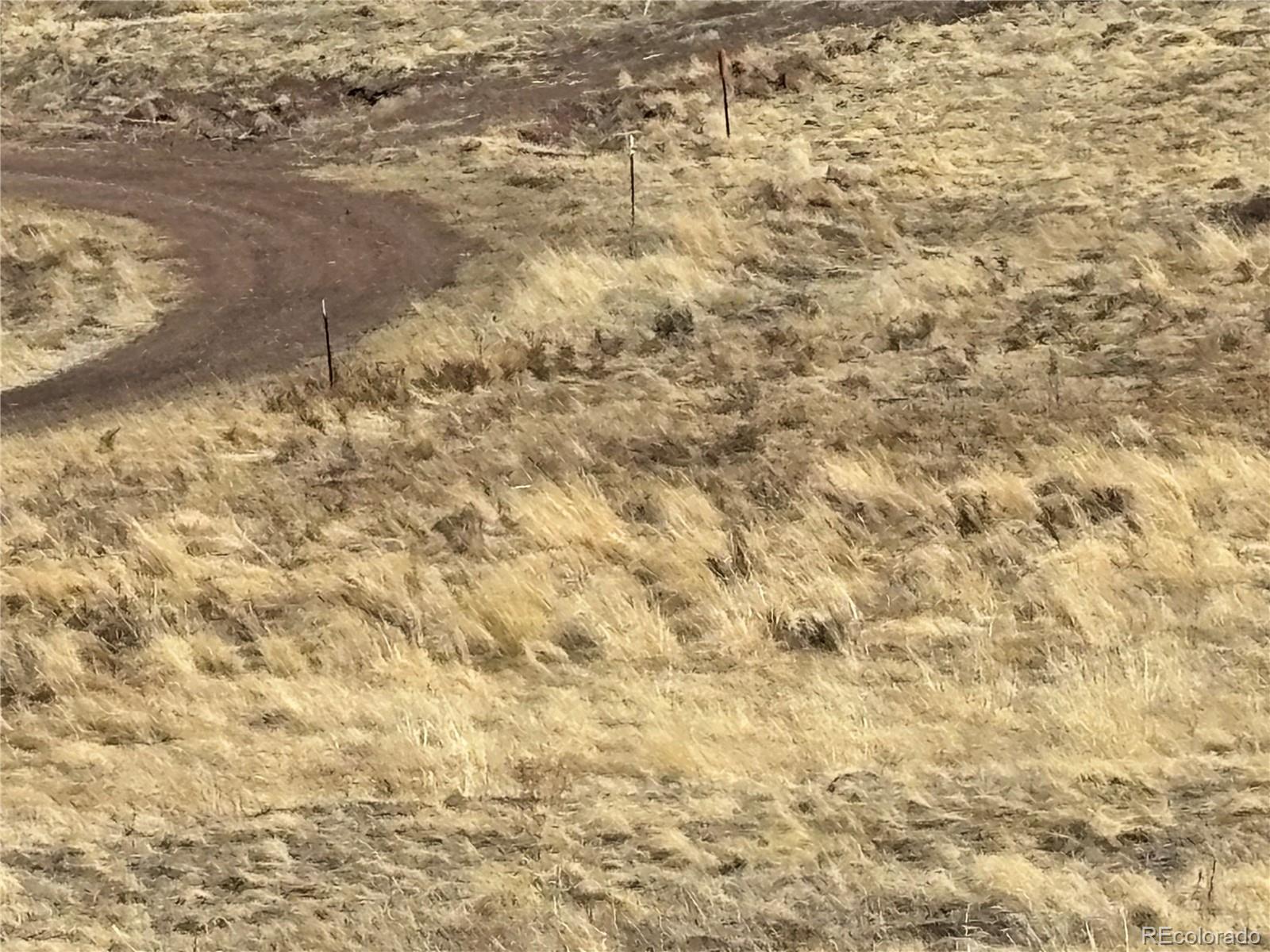 0 Forbes Park Road Fort Garland, CO 81133 - Photo 8 of 9