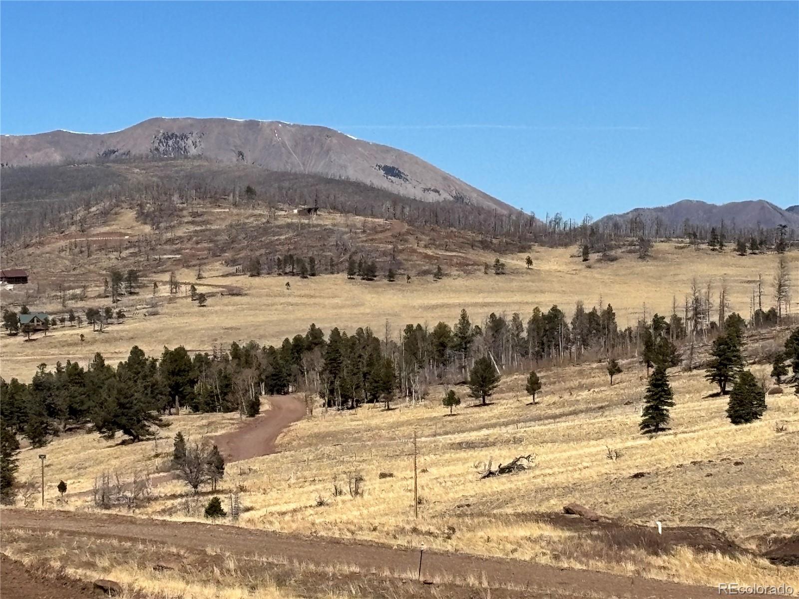 0 Forbes Park Road Fort Garland, CO 81133 - Photo 9 of 9