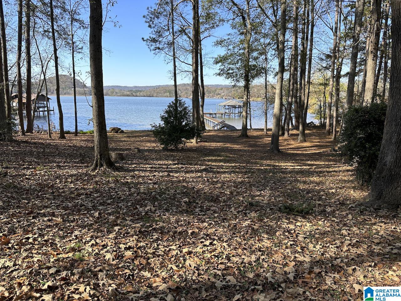 3371 County Road 104 Cedar Bluff, AL 35959 - Photo 69 of 100