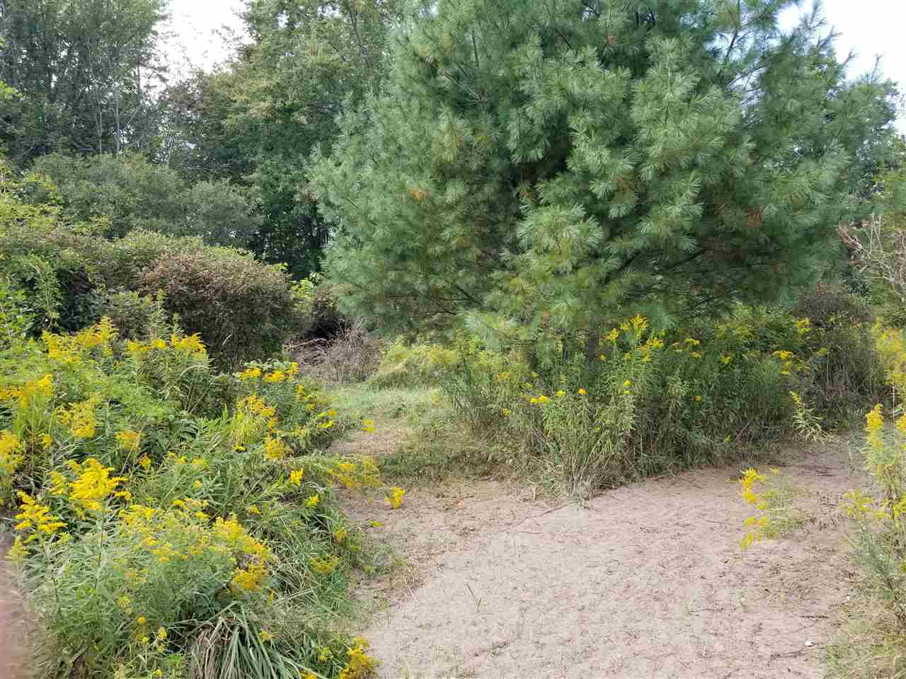 Parcel #1 Parcel Road Comstock Park, MI 49321 - Photo 17 of 24