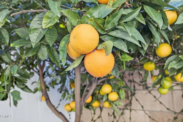 a view of a swimming pool with a couch and chair