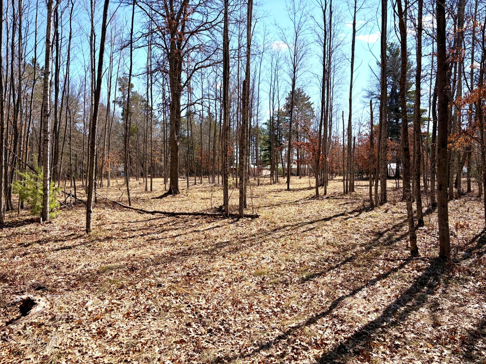 5464 West Fletcher Road Roscommon, MI 48653 - Photo 61 of 67 IMG_3971