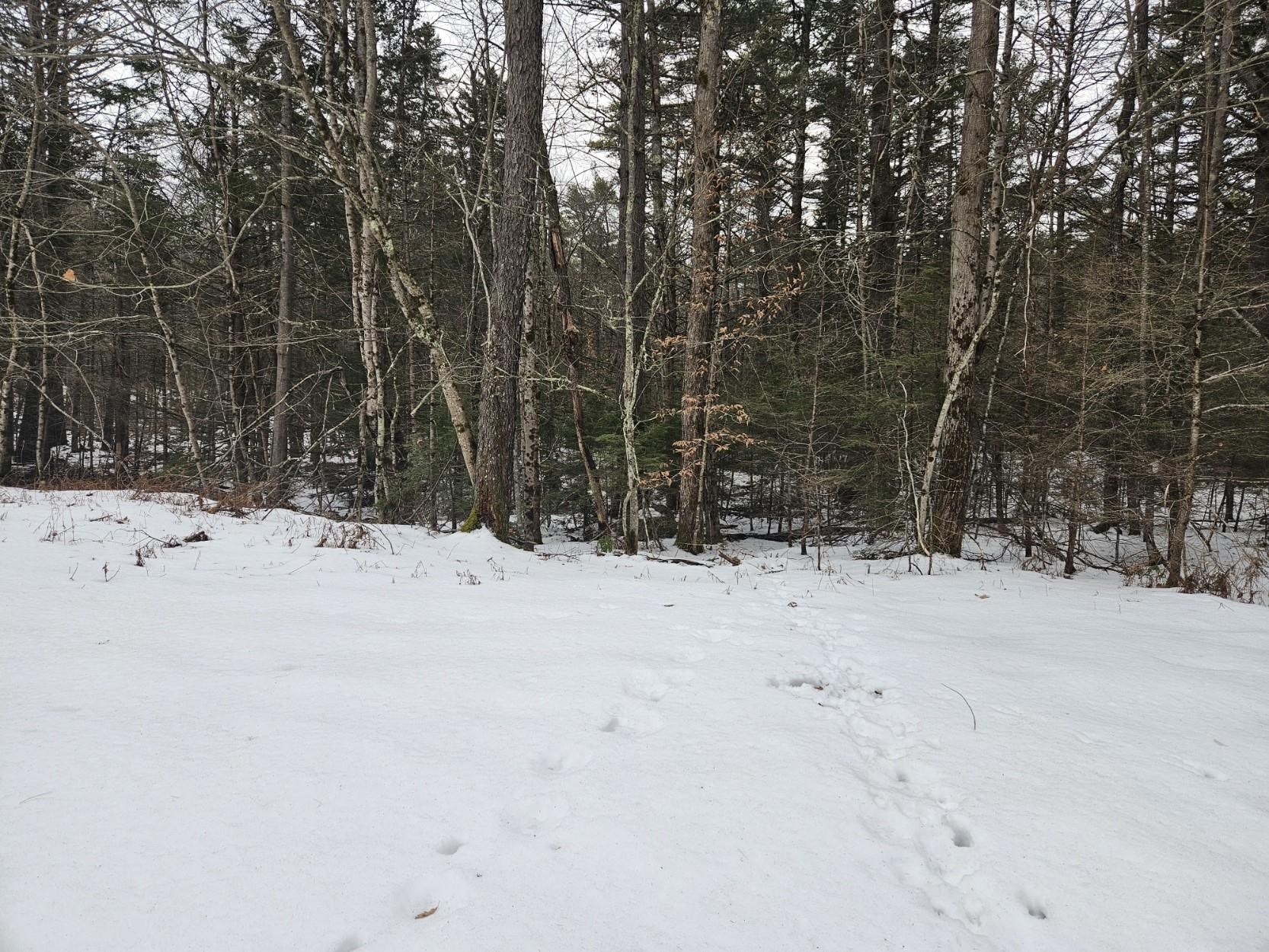 518 Main Street Rindge, NH 03461 - Photo 15 of 21