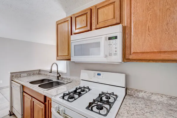 $1,250 | 22307 Tree House Lane, Spring, TX 77373