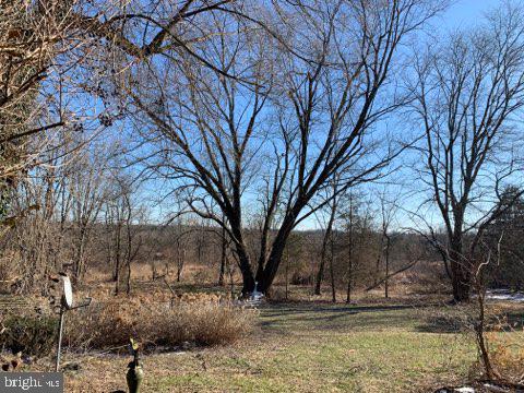 5286 Moyer Road Pipersville, PA 18947 - Photo 11 of 27 Backyard