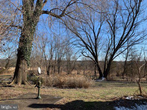 5286 Moyer Road Pipersville, PA 18947 - Photo 8 of 27 Backyard view