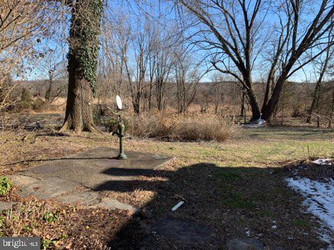 5286 Moyer Road Pipersville, PA 18947 - Photo 9 of 27 Backyard view