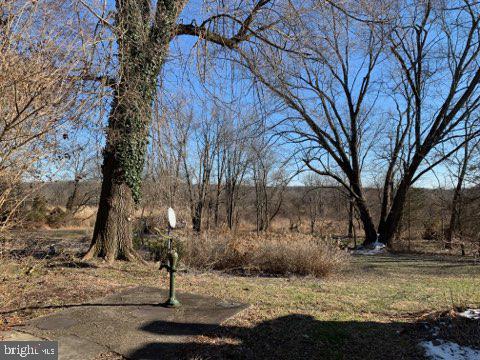 5286 Moyer Road Pipersville, PA 18947 - Photo 10 of 27 Backyard