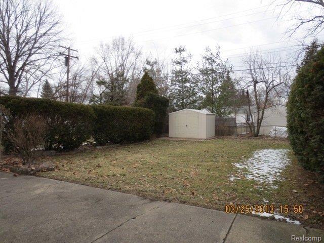 back yard.JPG