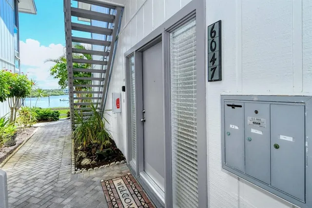 a potted plant sitting in front of a door