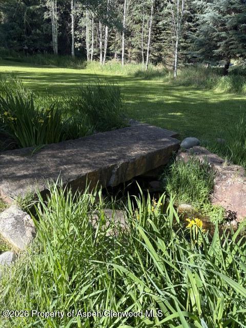 135 Lewis Lane Basalt, CO 81621 - Photo 23 of 25 stream in back yard